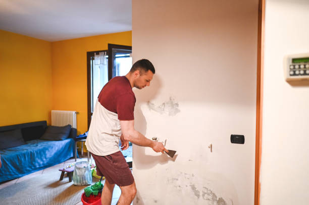 Best Commercial Mold Removal  in Chadds Ford, PA