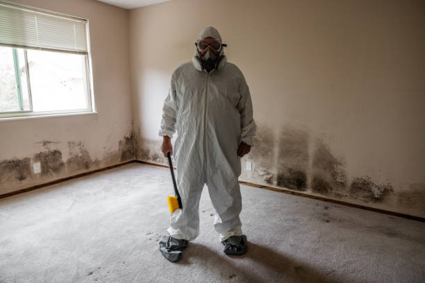 Best Attic Mold Removal  in Chadds Ford, PA